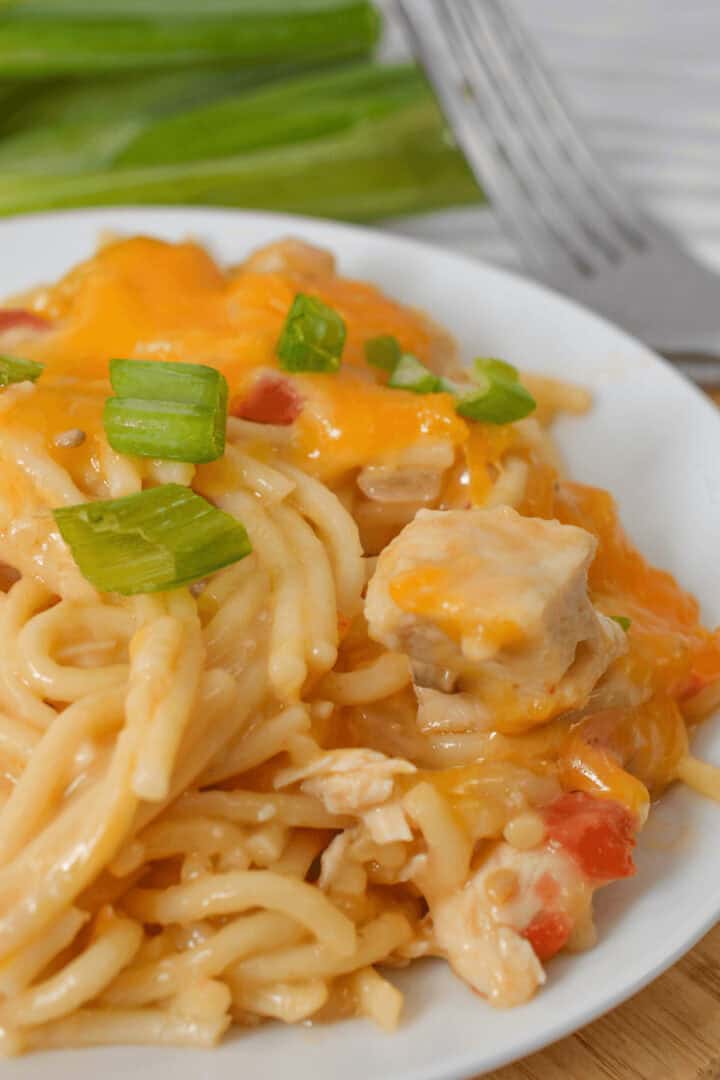 A plate of cheesy rotel chicken spaghetti garnished with chopped green onions.